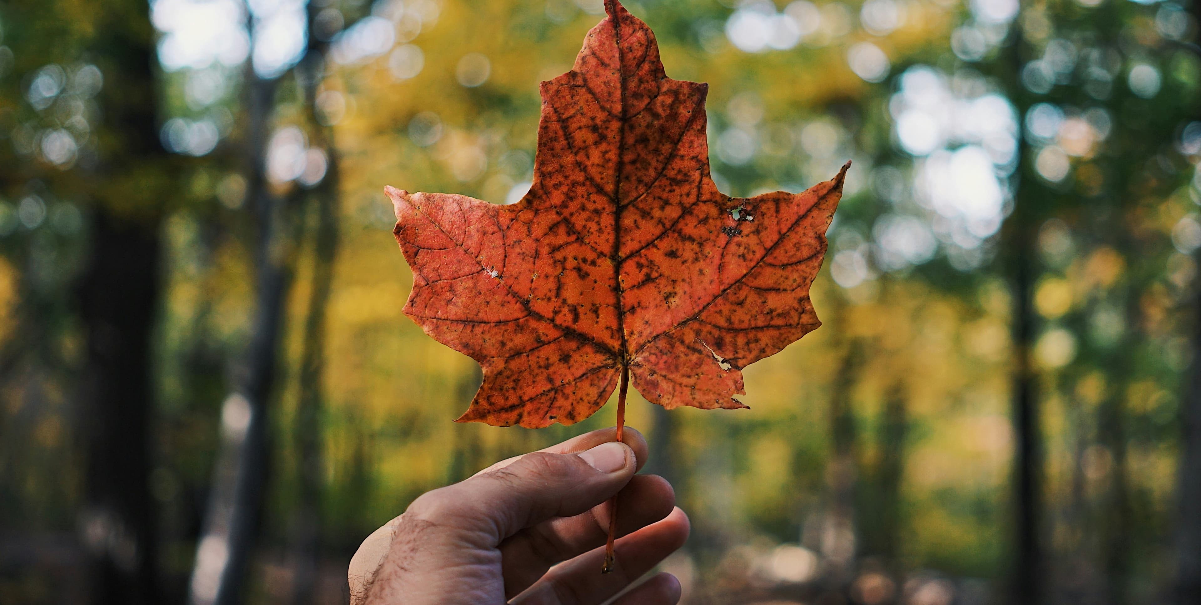 Immigration au Canada