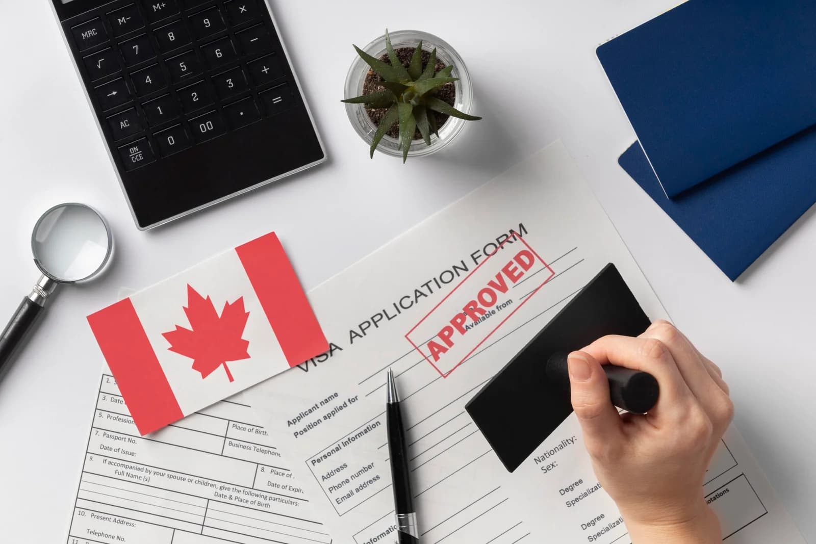 TCF Canada 2026 : Les changements importantspour votre dossier